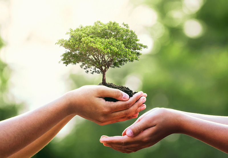 dcbox小金库承诺